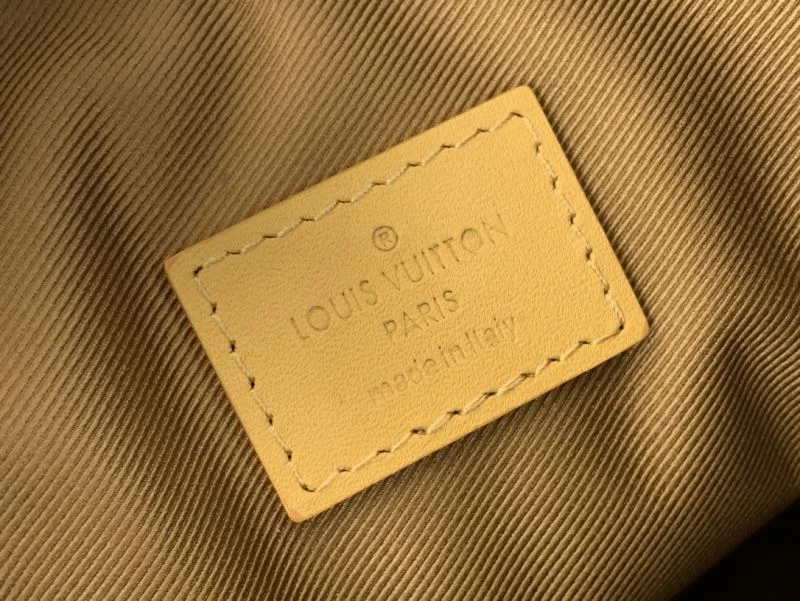 Youthful Louis Vuitton Hobo Bags 41203