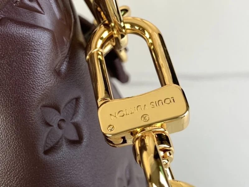 Louis Vuitton Hobo Bags Premium 41202