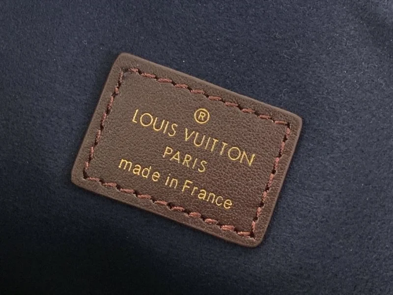 Louis Vuitton Hobo Bags Premium 41202