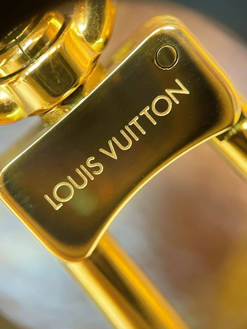 Louis Vuitton Hobo Bags FastDry 40570