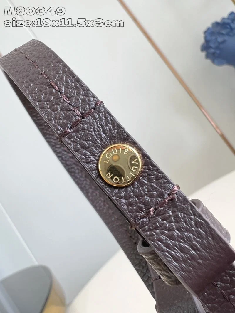 ZeroBulk Louis Vuitton Hobo Bags 40552