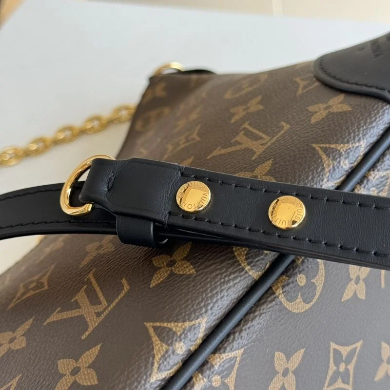 Seasonal Louis Vuitton Hobo Bags 49294