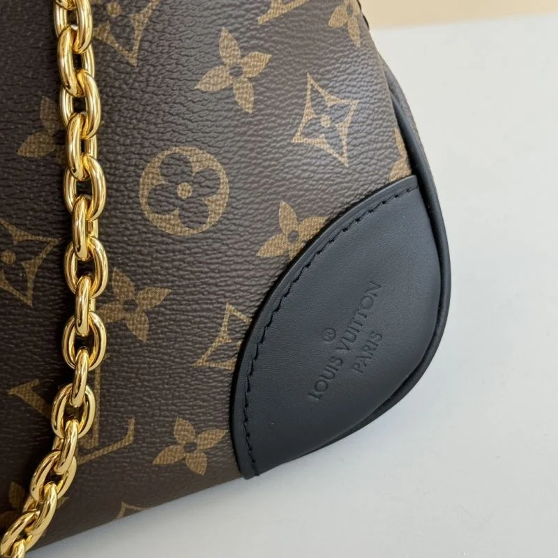 Seasonal Louis Vuitton Hobo Bags 49294