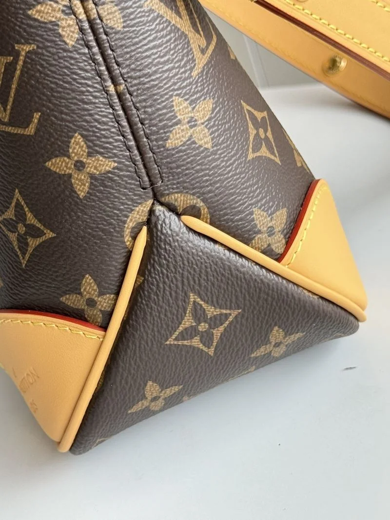 Louis Vuitton Hobo Bags Bright 49323