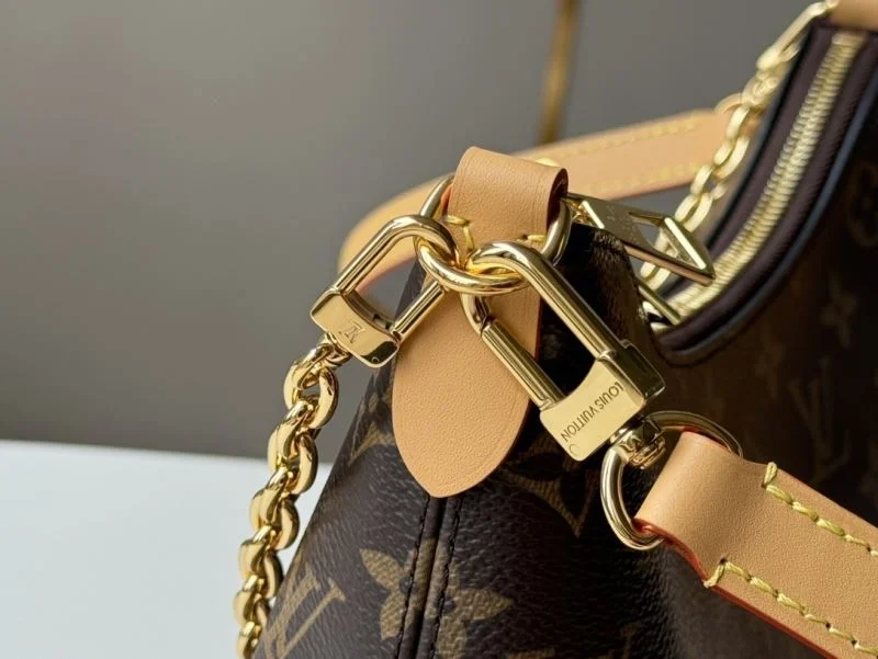 Louis Vuitton Hobo Bags Chic 49192