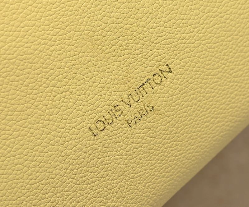EyeCatching Louis Vuitton Hobo Bags 79830