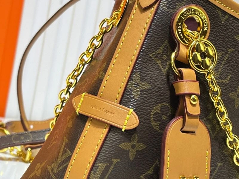 Louis Vuitton Hobo Bags Attractive 79807
