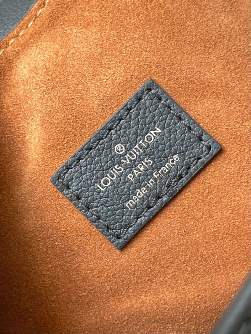 EyeCatching Louis Vuitton Hobo Bags 39270