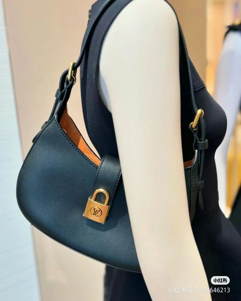 EyeCatching Louis Vuitton Hobo Bags 39270