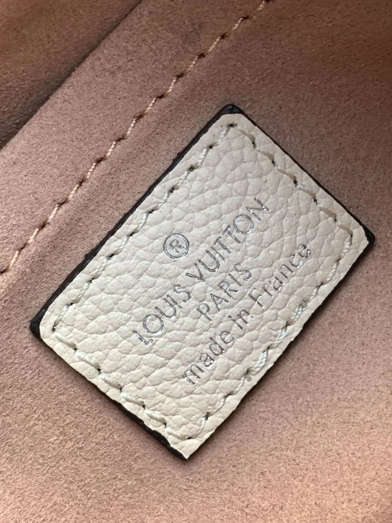 EyeCatching Louis Vuitton Hobo Bags 39257