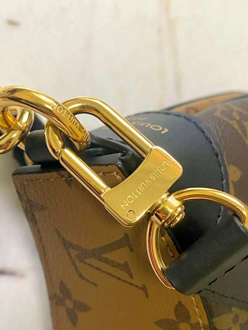 Louis Vuitton Hobo Bags Bright 38892