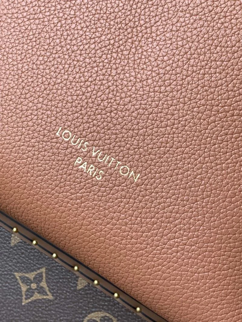 Louis Vuitton Hobo Bags Youthful 38911