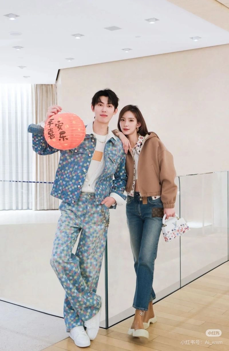 Chic Louis Vuitton Jeans 138716