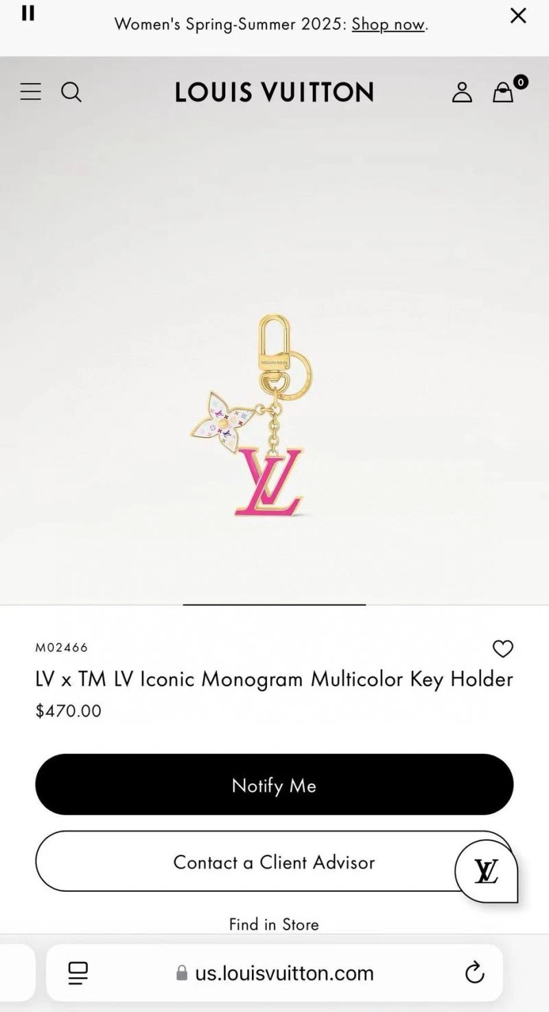 Flexible Louis Vuitton Keychains 266003