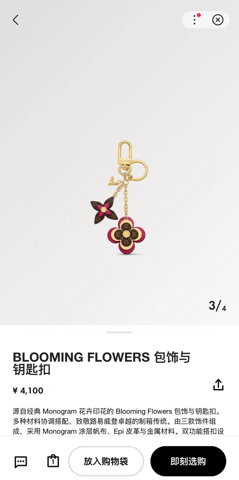 Louis Vuitton Keychains Packable 265981