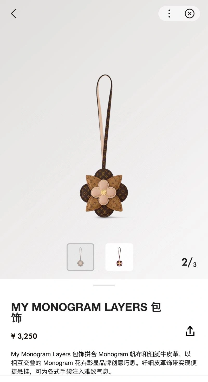 Louis Vuitton Keychains Functional 266060