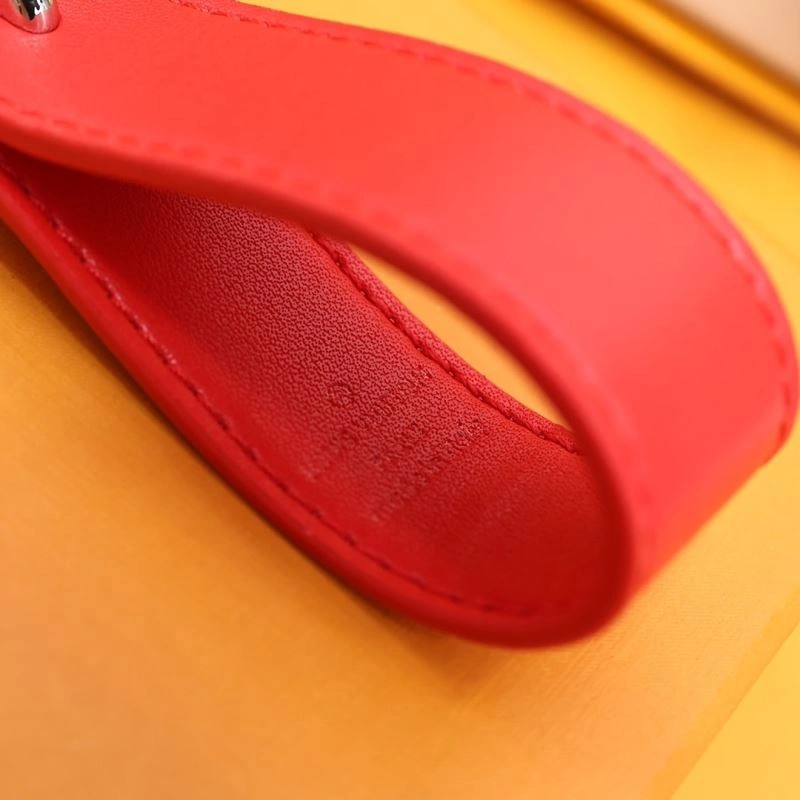 WaterResistant Louis Vuitton Keychains 267151