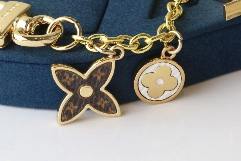 Supportive Louis Vuitton Keychains 267149