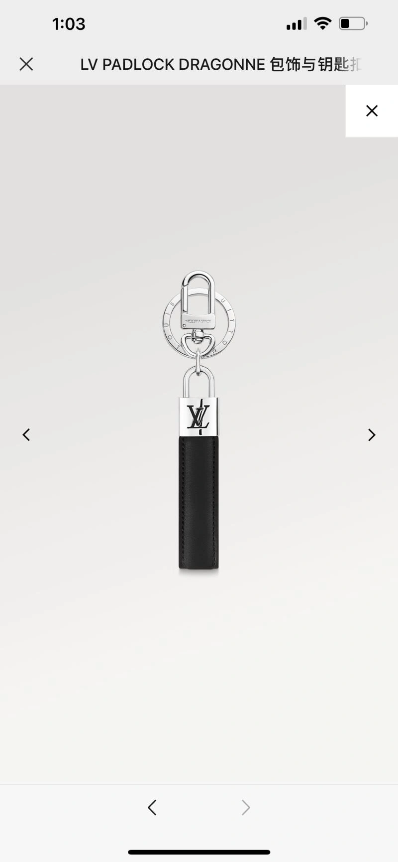 Louis Vuitton Keychains Refined 267088