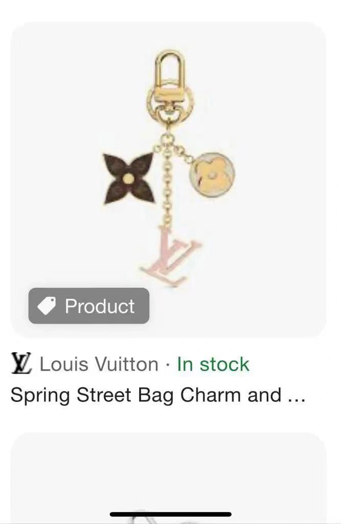 Louis Vuitton Keychains WeatherProof 267037