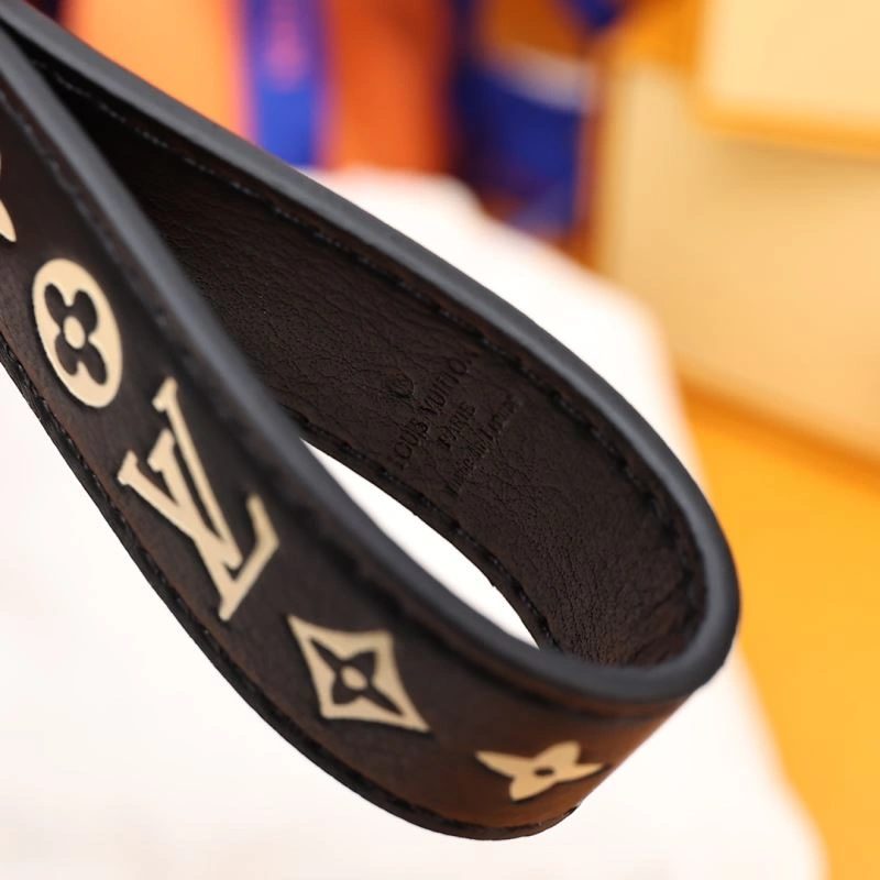 Louis Vuitton Keychains EyeCatching 266966