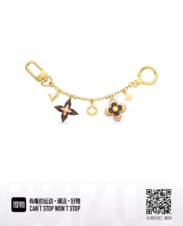Louis Vuitton Keychains Sophisticated 266811