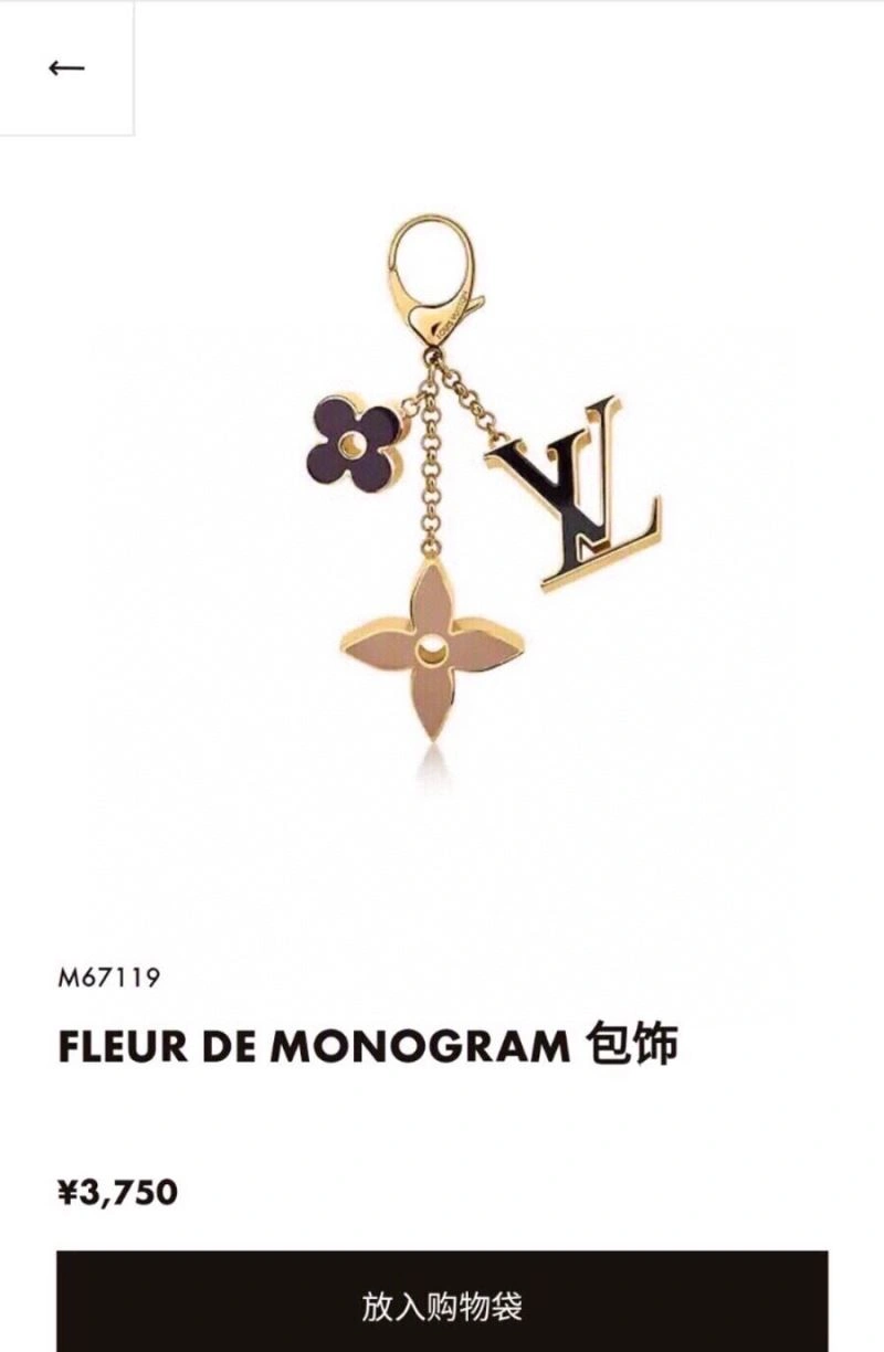 Louis Vuitton Keychains DailyWear 265297