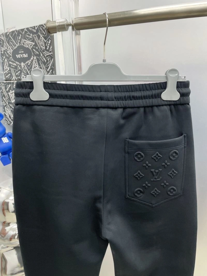 Louis Vuitton Long Pants Vibrant 137808