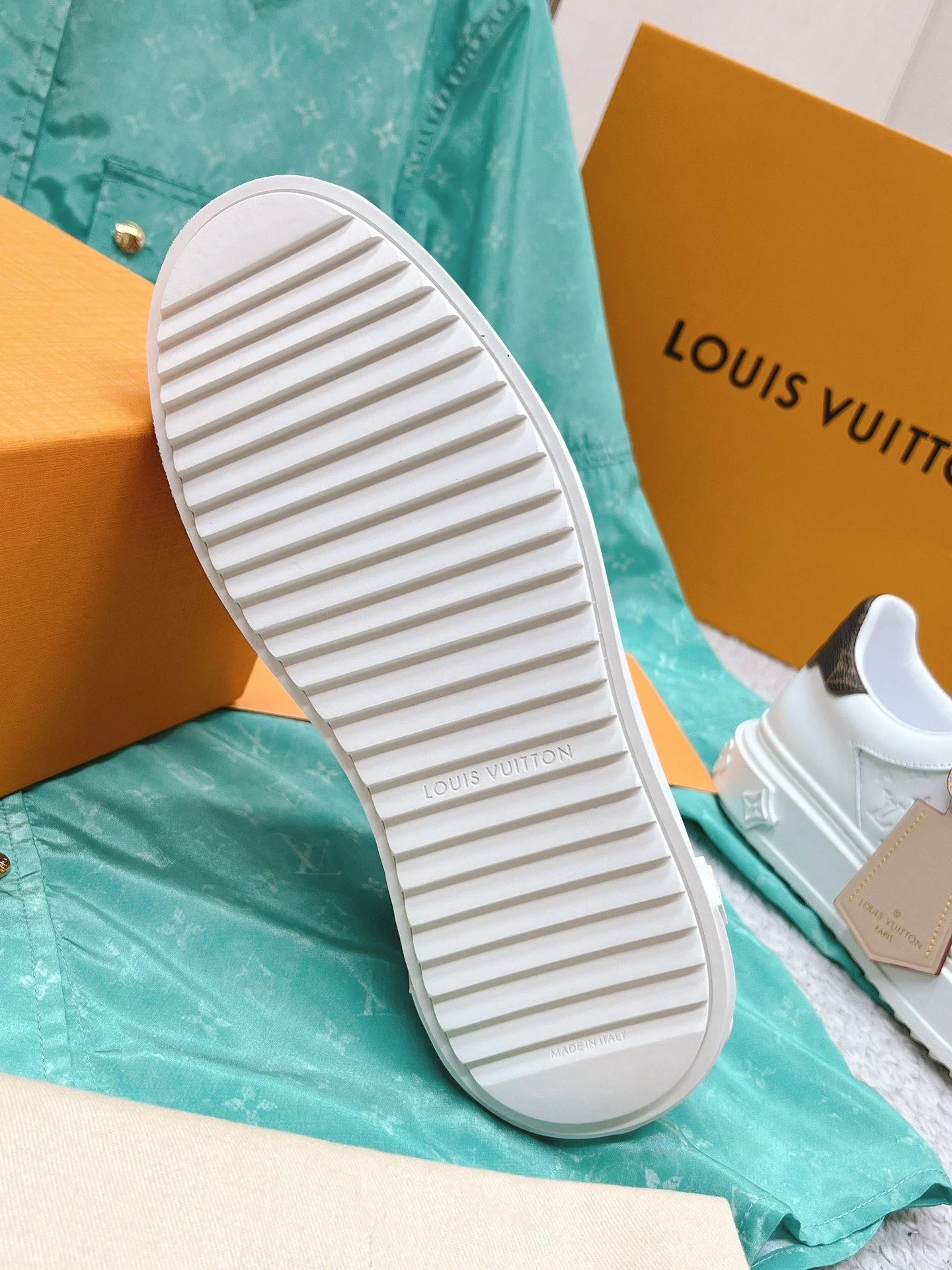 Louis Vuitton Low Shoes Sustainable 31621