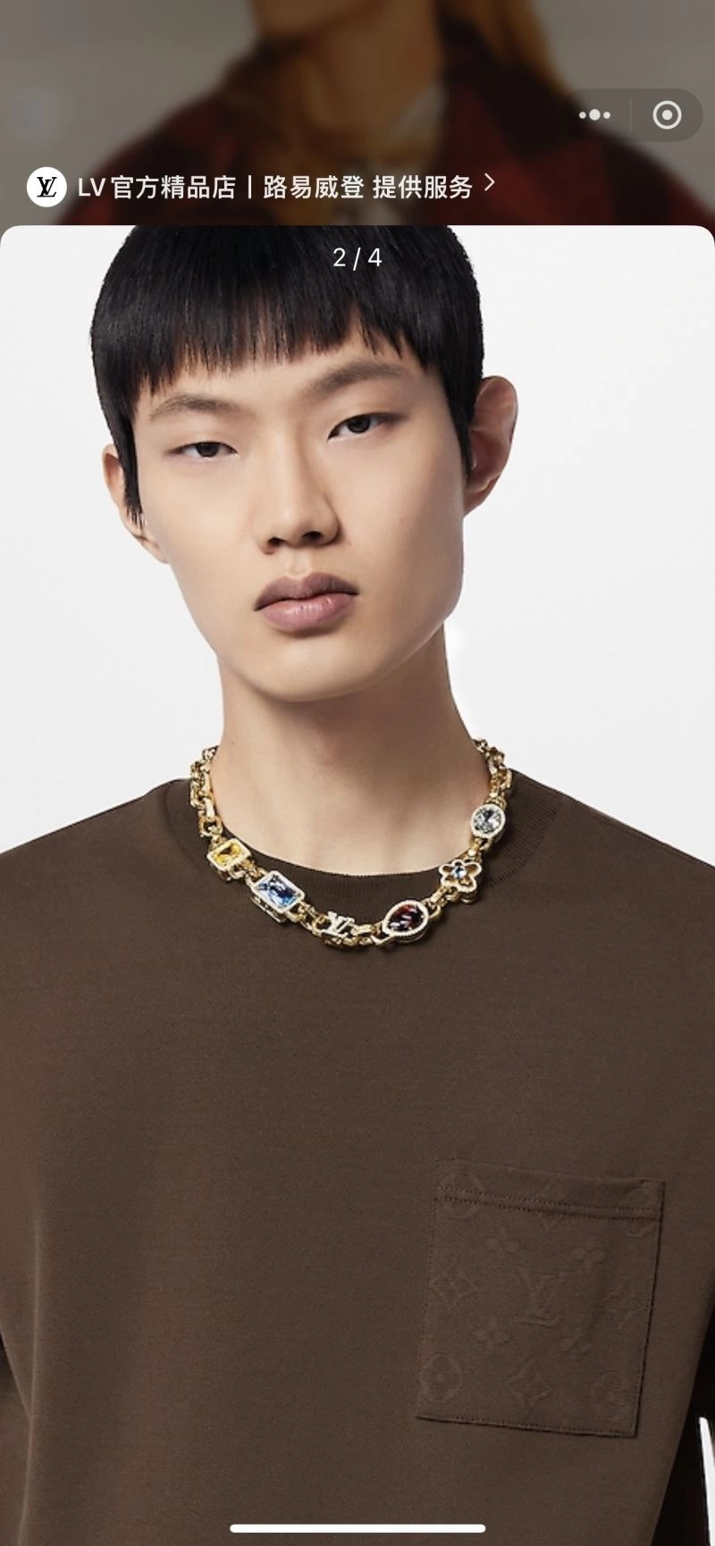 Louis Vuitton Necklaces WellDesigned 251200
