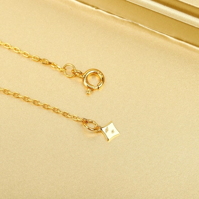 Louis Vuitton Necklaces GoAnywhere 248441