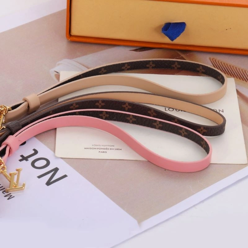 Louis Vuitton Ornaments Trendsetting 269521