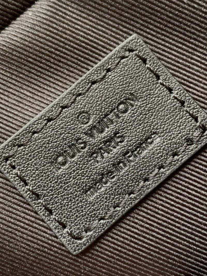 Louis Vuitton Satchel Bags DailyWear 41963