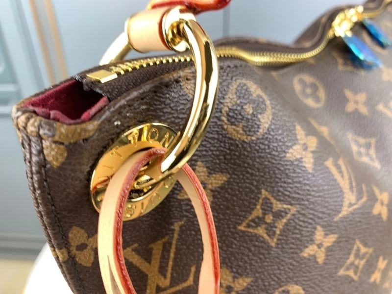 GoAnywhere Louis Vuitton Satchel Bags 79662