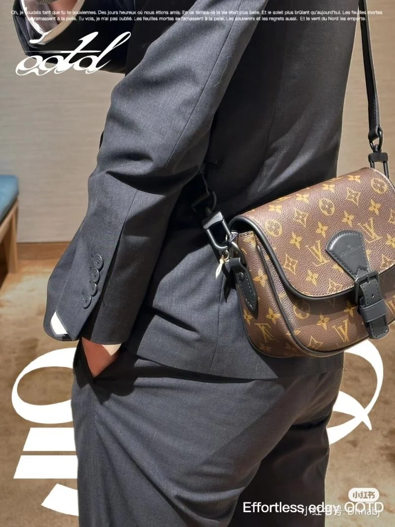 Louis Vuitton Satchel Bags Bright 39601