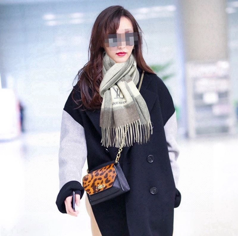 Louis Vuitton Scarf Fashionable 270838
