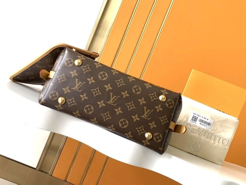 Supportive Louis Vuitton Shopping Bags 93728