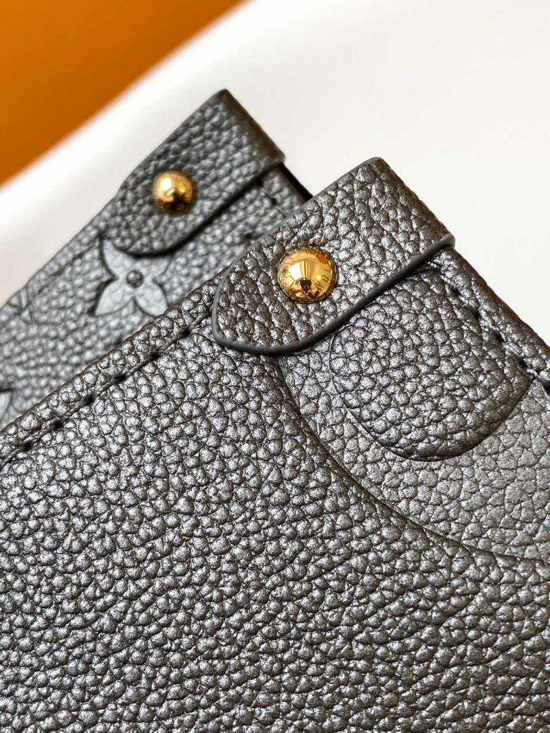 Thermal Louis Vuitton Shopping Bags 42525