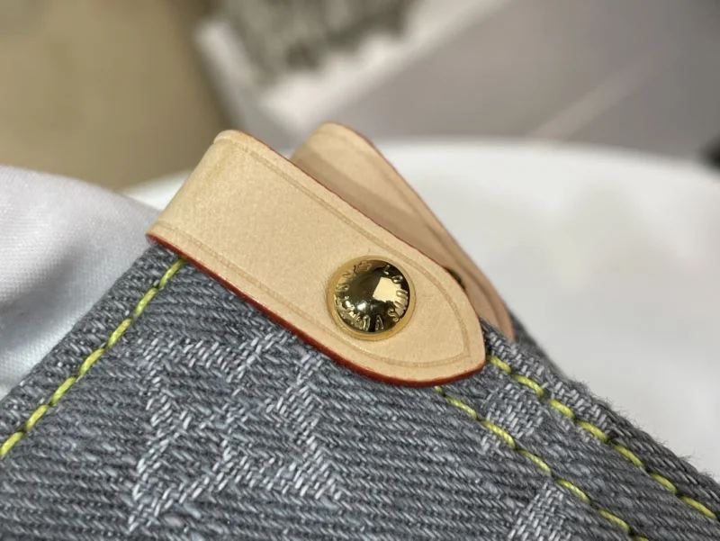 GoAnywhere Louis Vuitton Shopping Bags 40454