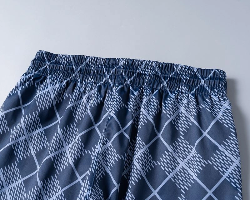 Louis Vuitton Short Pants Upgraded 139242