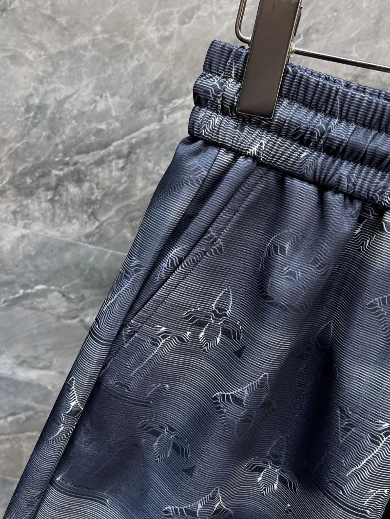 Louis Vuitton Short Pants Practical 136433