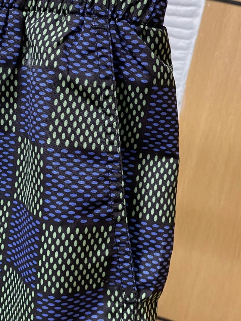 Modern Louis Vuitton Short Pants 134836