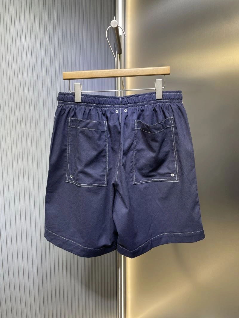 Louis Vuitton Short Pants QuickDry 133697