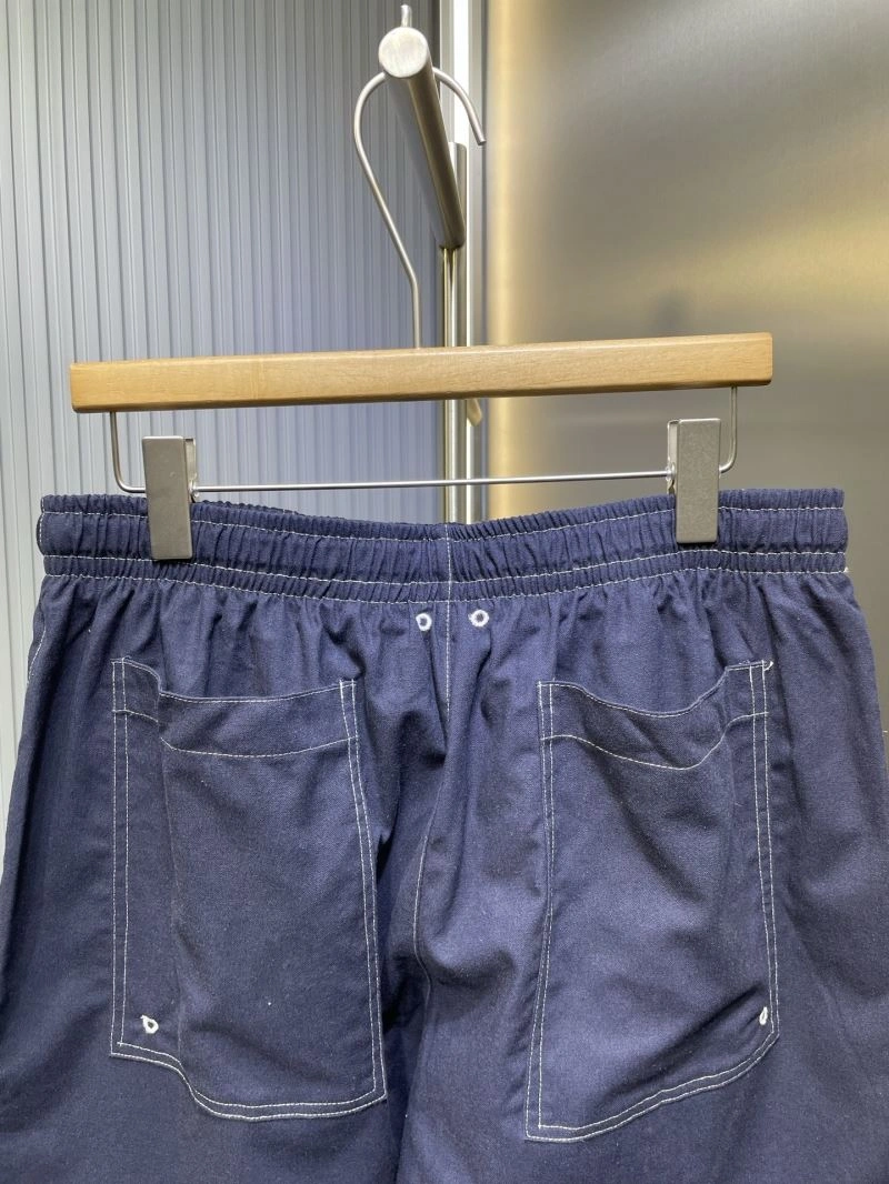 Louis Vuitton Short Pants QuickDry 133697