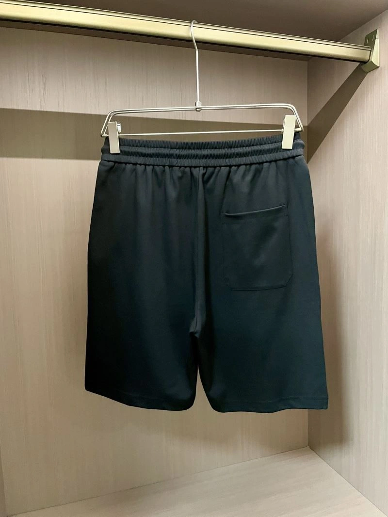 Louis Vuitton Short Pants Trendsetting 132713