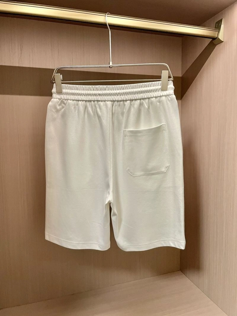 Louis Vuitton Short Pants Trendsetting 132713