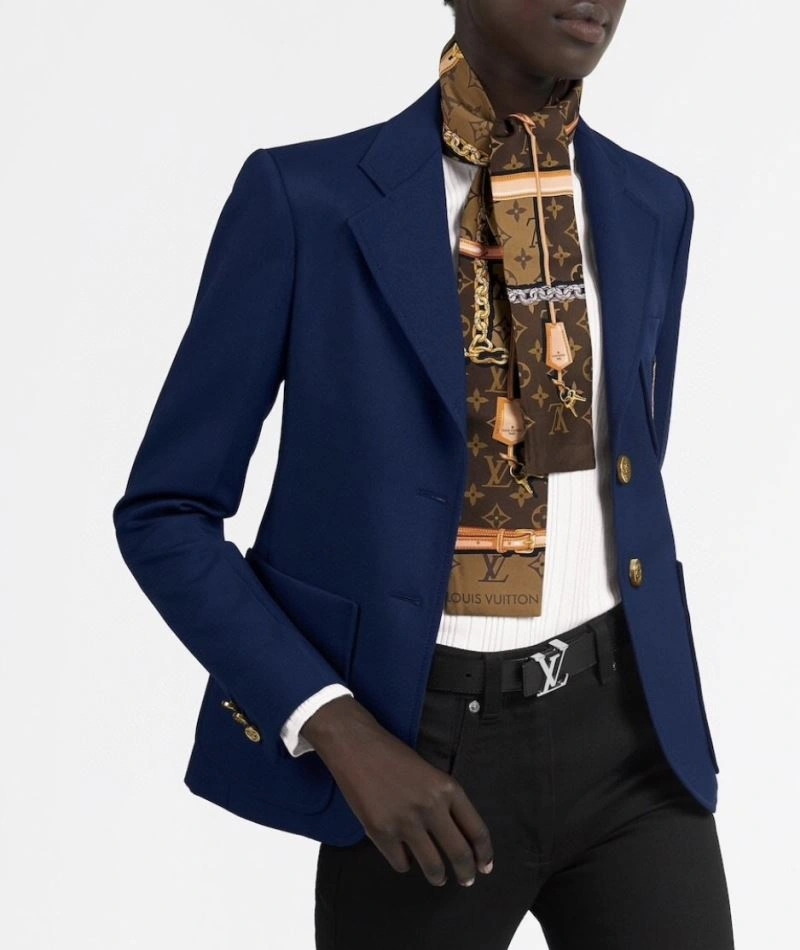 WellDesigned Louis Vuitton Silk 272577