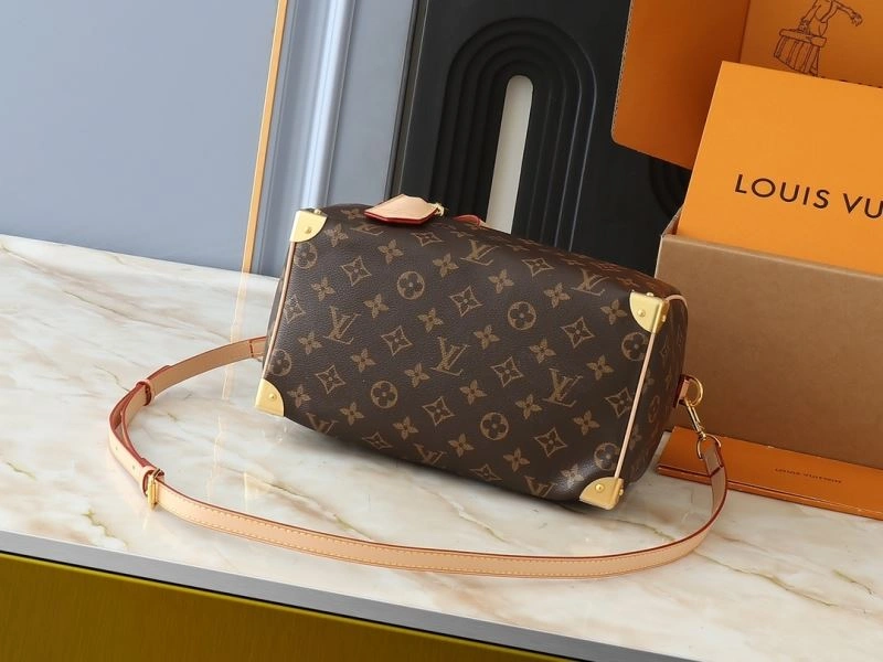 Louis Vuitton Speedy Bags SunProtective 80348