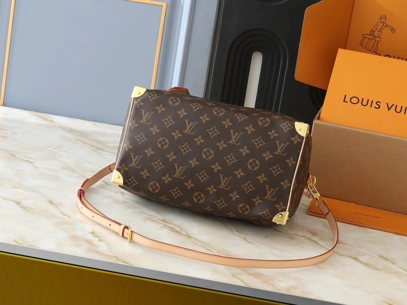 Louis Vuitton Speedy Bags Seasonal 80365