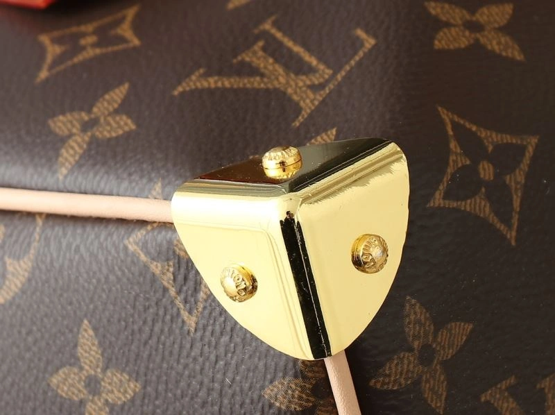Louis Vuitton Speedy Bags Seasonal 80365